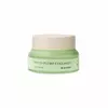 Денний крем Phyto Plump Collagen Mizon 50 мл