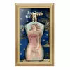 Туалетная вода Classique Xmas Collectors (лимитированная) Jean Paul Gaultier 100 мл