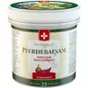 Бальзам для коней Swiss Medicus Pferdebalsam Warmend 500 мл