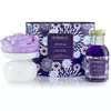 Дифузор подарунковий набір Spongelle private reserve floret blackberry
