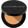 Консилер Youngblood ultimate concealer medium warm 2,8 г