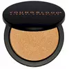 Хайлайтер Youngblood highlighter aurora 8 g