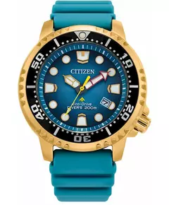 Мужские Часы CITIZEN BN0162-02X