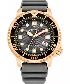Мужские Часы CITIZEN BN0163-00H