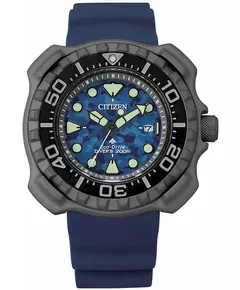 Мужские Часы CITIZEN BN0227-09L