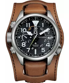Мужские Часы CITIZEN BN4061-08E