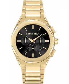 Мужские Часы TRUSSARDI R2453156001