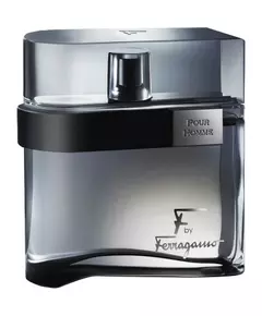 Salvatore Ferragamo F by Ferragamo Black Туалетная вода 100 мл