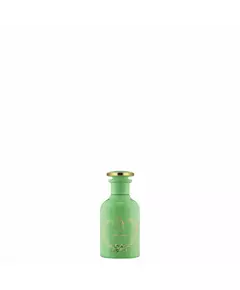Олійні парфуми для жінок Gucci The Alchemist's Garden - A Forgotten Rose, 20 мл