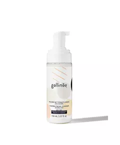 Очищающий пенящийся крем для лица Gallinee Microbiome Skincare Prebiotics & Postbiotics, 150 мл