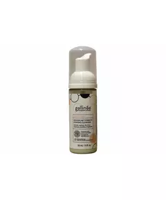 Очищающая пенка для лица Gallinee Microbiome Skincare Prebiotics & Postbiotics, 50 мл
