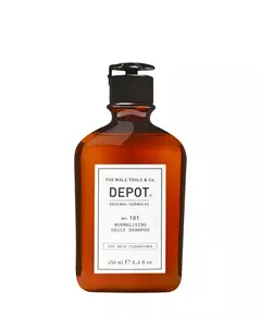 Шампунь для очищення волосся Depot 100 Hair Cleansing No. 101 Botanical Complex Normalizing, 250 мл
