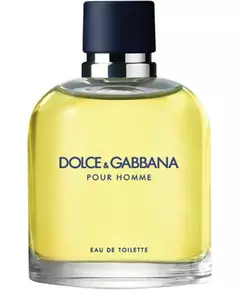Туалетная вода для мужчин Dolce & Gabbana Pour Homme, 125 мл