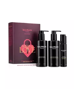 Набір засобів для догляду за волоссям Balmain Professionnel Locks of Love, 250 мл