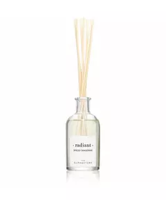 Ароматический диффузор с палочками The Olphactory Radiant Spiced Tangerine, 100 мл