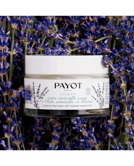 Универсальный крем для лица Payot pv herbier creme universelle visage lavande 50 мл, изображение 5