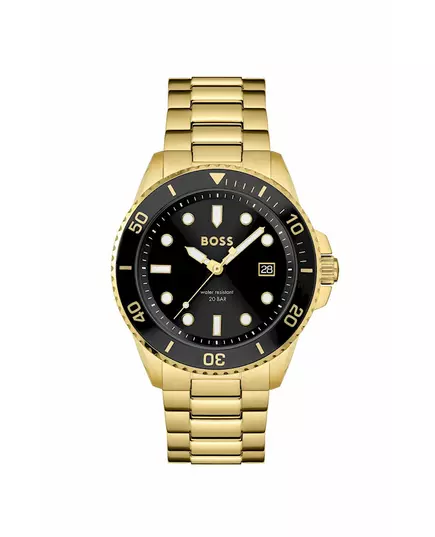 Мужские Часы BOSS 1513917