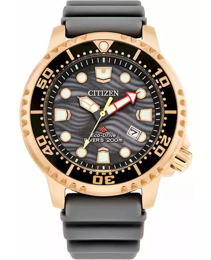 Мужские Часы CITIZEN BN0163-00H