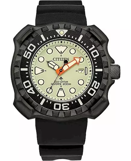 Чоловічий Годинник CITIZEN BN0227-25X