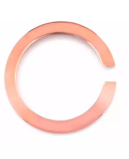 Аксесуар для годинника GLAM ROCK GC2203GR