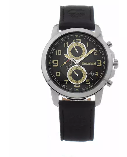 Мужские Часы TIMBERLAND TDWGF9002401
