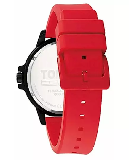 Мужские Часы TOMMY HILFIGER 1792033, изображение 2