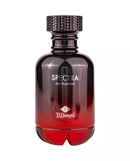 Tad Angel Spectra Homme Парфюмированная вода 100 мл