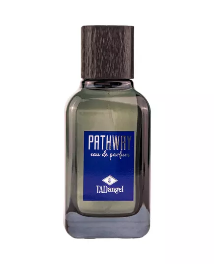 Tad Angel Pathway Homme Парфюмированная вода 100 мл