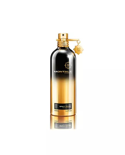 Montale Spicy Aoud парфюмерная вода 100 мл