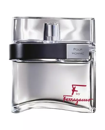 Salvatore Ferragamo F by Ferragamo Pour Homme Туалетная вода 100 мл