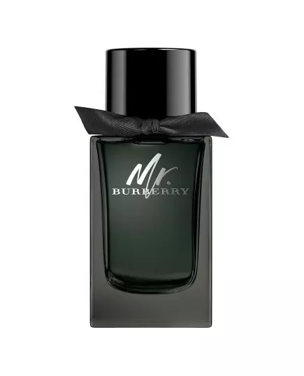 Burberry Mr. парфюмерная вода EDP 100 мл