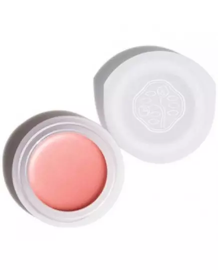 Кремові тіні для повік Shiseido Paperlight Or707 Sango Coral, 6 г