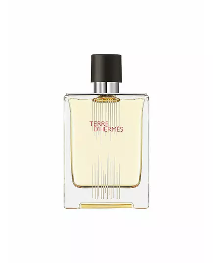 Туалетна вода для чоловіків Hermès Terre d'Hermes Flacon H Limited Edition, 100 мл