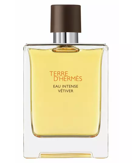 Парфюмерная вода для мужчин Hermès Terre d`Hermes Intense Vetiver, 200 мл