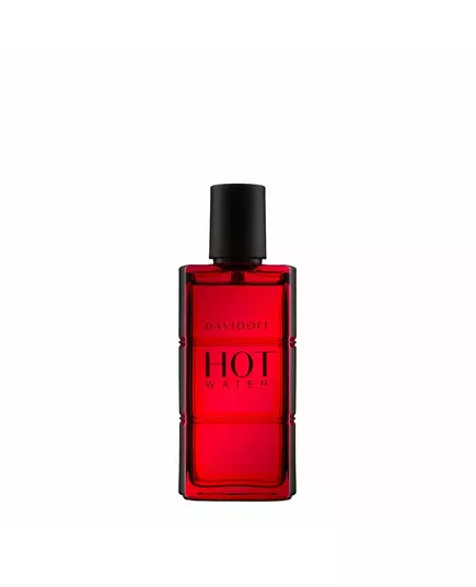 Туалетна вода для чоловіків Davidoff Hot Water, 110 мл