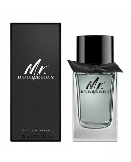 Туалетная вода для мужчин Burberry Mr. Burberry, 100 мл, изображение 4