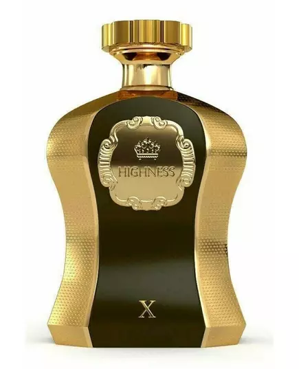 Парфюмерная вода унисекс Afnan Highness X Brown, 100 мл