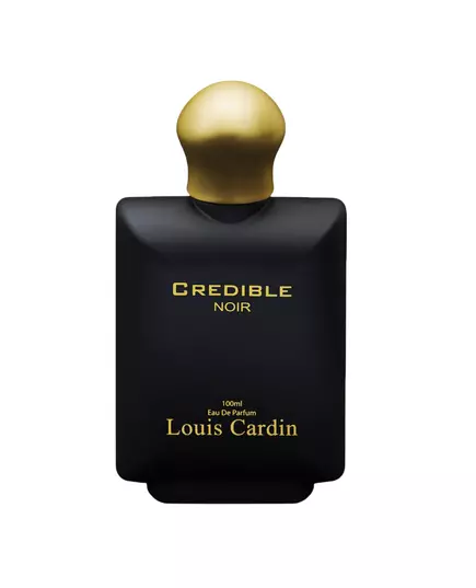 Парфюмерная вода для мужчин Louis Cardin Credible Noir, 100 мл