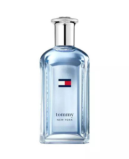 Туалетная вода для мужчин Tommy Hilfiger New York, 100 мл