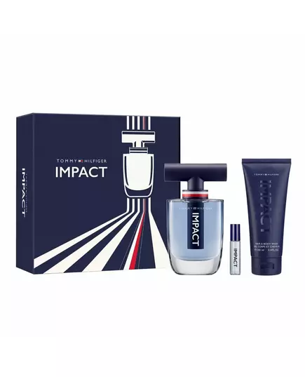 Набор чехлов Tommy Hilfiger IMPACT, 3 штуки