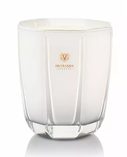 Ароматична свічка Dr. Vranjes Firenze Ginger Lime, 1000 г, зображення 2