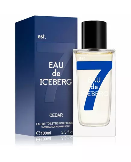 Туалетна вода для чоловіків Iceberg Eau De Iceberg Cedar, 100 мл, зображення 2