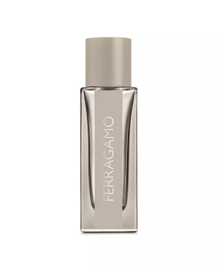 Туалетная вода для мужчин Salvatore Ferragamo Bright Leather, 30 мл