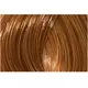 Крем-фарба для волосся L'ANZA healing color 7cg (7/43) dark copper golden blonde 90ml, зображення 2
