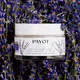 Універсальний крем Payot Herbier 50 мл, зображення 5