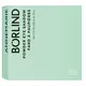 Тіні для повік Annemarie Borlind powder eye shadow blue pearl 2 г, зображення 2