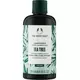 Кондиціонер The Body Shop з чайним деревом 250мл