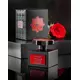 Парфумована вода Kajal the warde collection joorie 100 мл, зображення 3