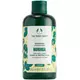 Шампунь The Body Shop морінга 250мл