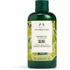 Оливковый гель для душа The Body Shop 250мл